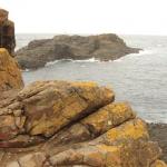 Kiama - Blowhole point